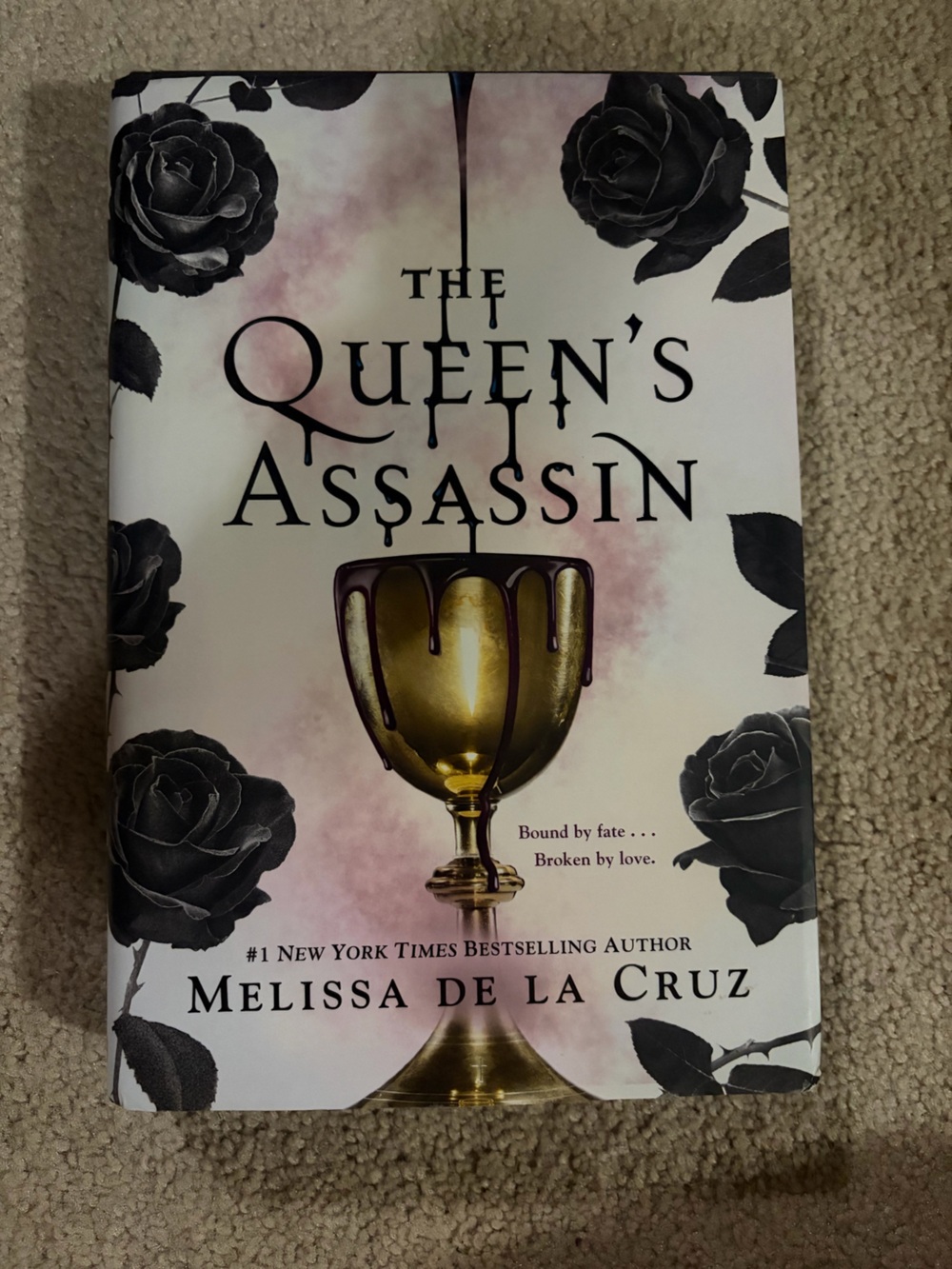 The queen’s assassin hardcover novel